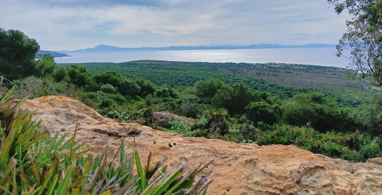 Appartamento Exclusivo Zahara Urb Bahia De La Plata Zahara de los Atunes Esterno foto